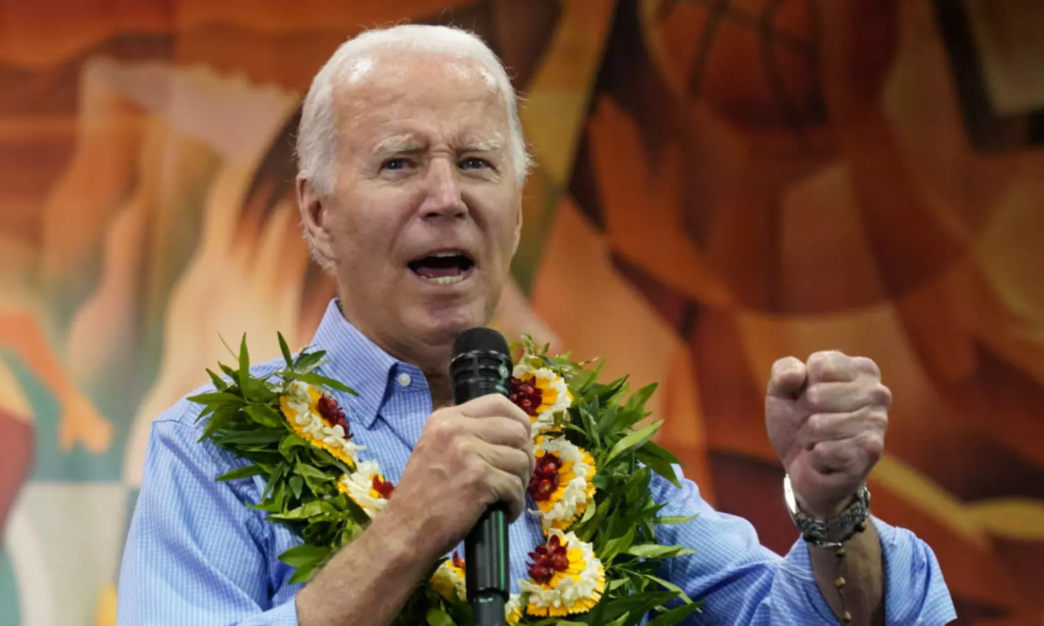 Joe Biden slammed for his ‘insensitive’ comparison of Maui wildfires to 2004 minor fire in his kitchen