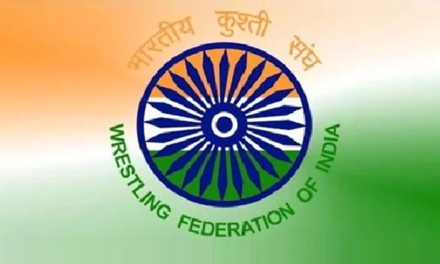 Ad-hoc committee for wrestling dissolved by IOA; WFI to take charge