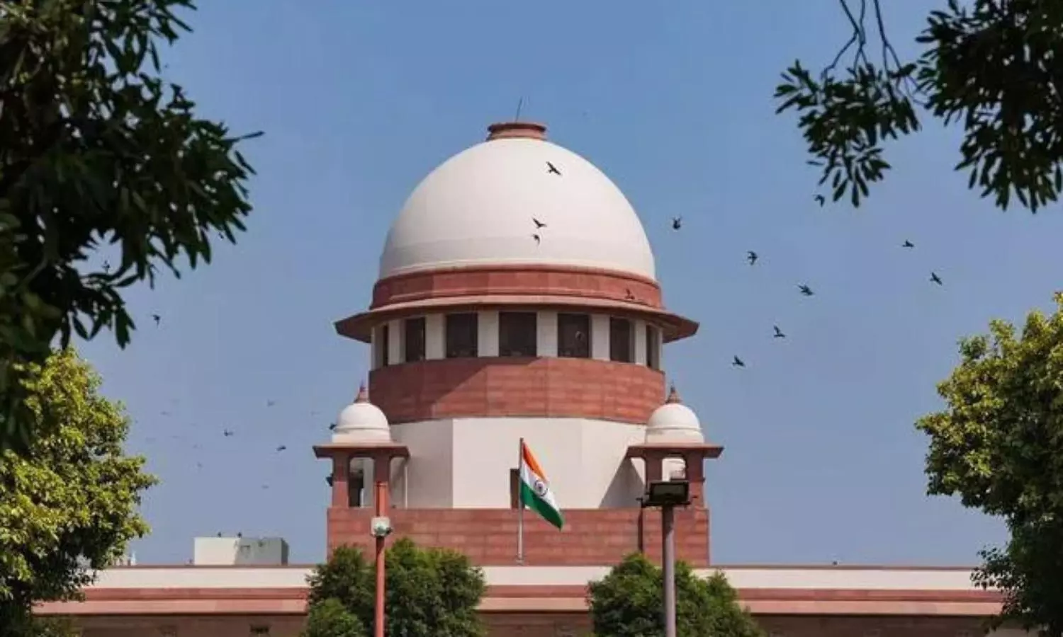 SC to AG, SG: Look into suspension of J-K lecturer who argued against Art 370 abrogation