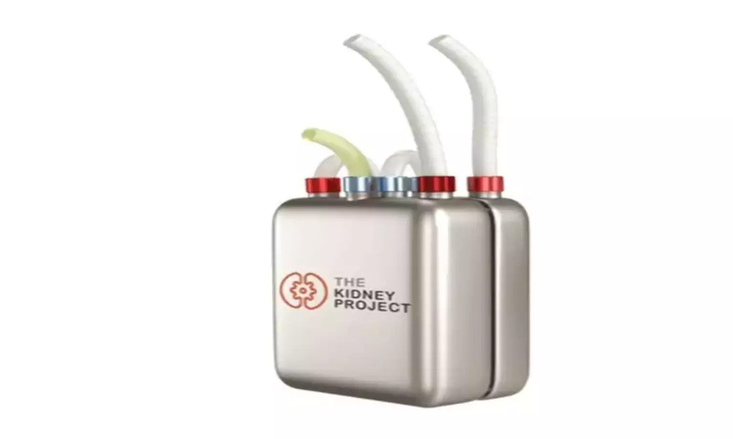 US scientists develop new kidney-like device to free patients from dialysis