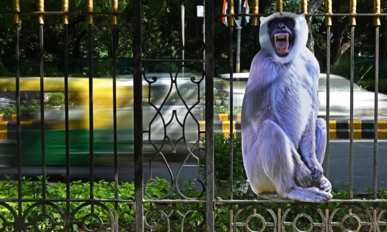 Fake monkeys to shoo real ones; Delhi gears up for G20 Summit