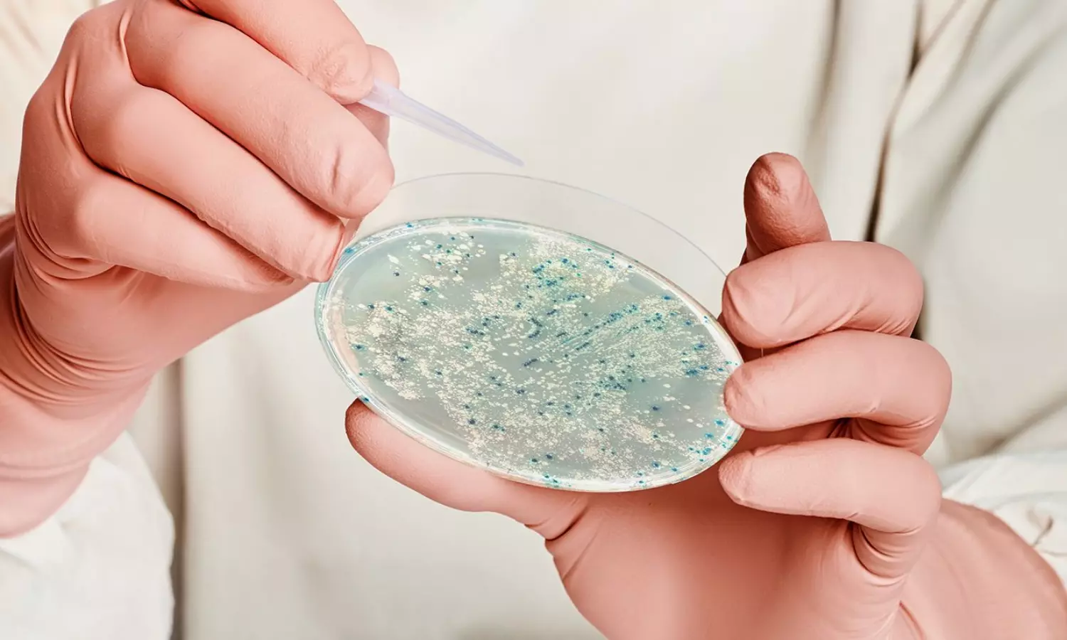 Engineered E.coli bacteria to generate electricity from wastewater: Study