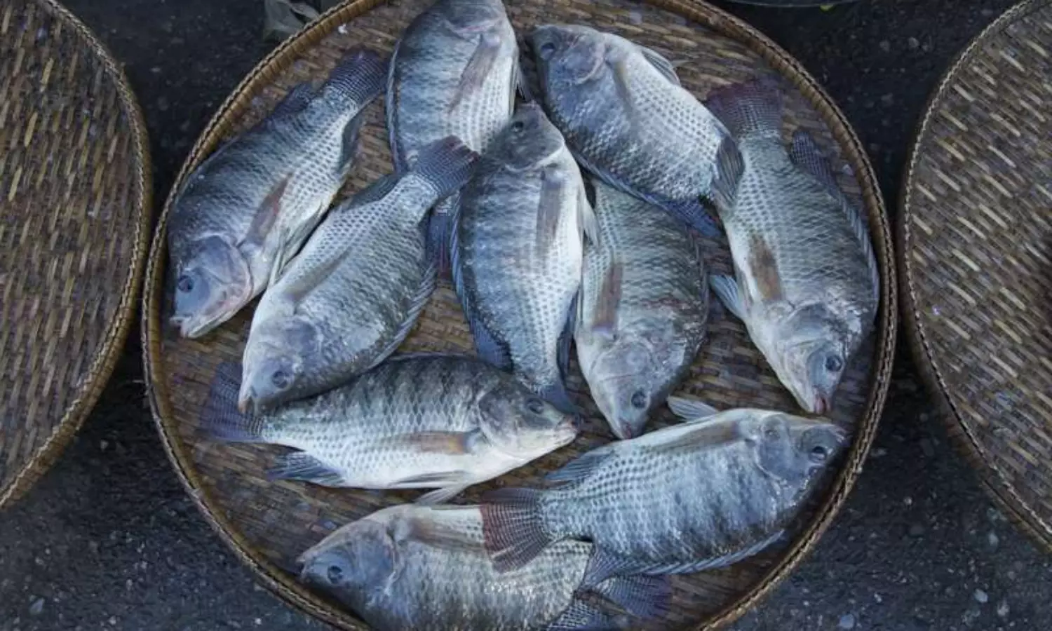 Bacterial infection from fish: US woman loses all 4 limbs