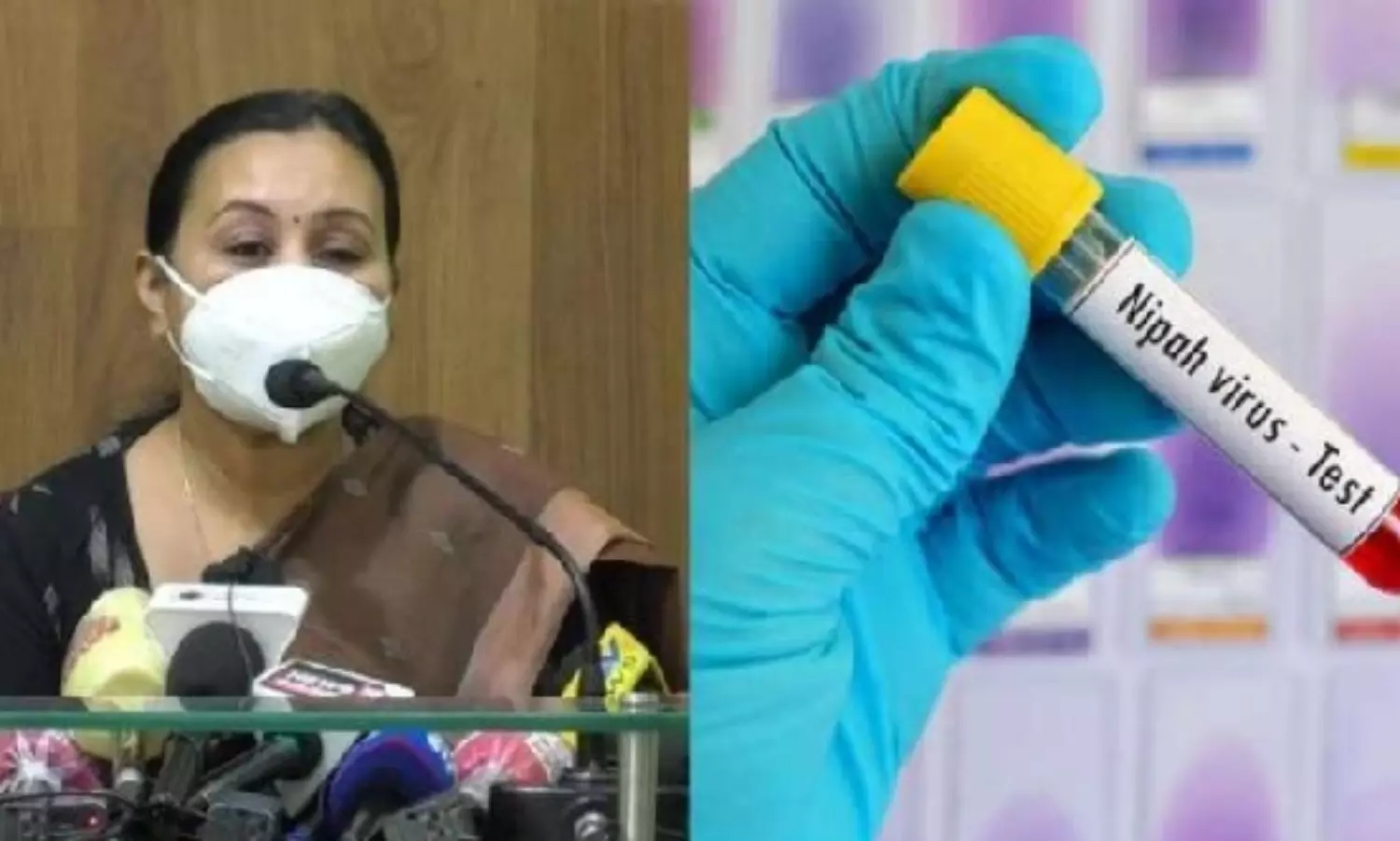 Nipah Outbreak: 61 more samples test negative, says Kerala govt