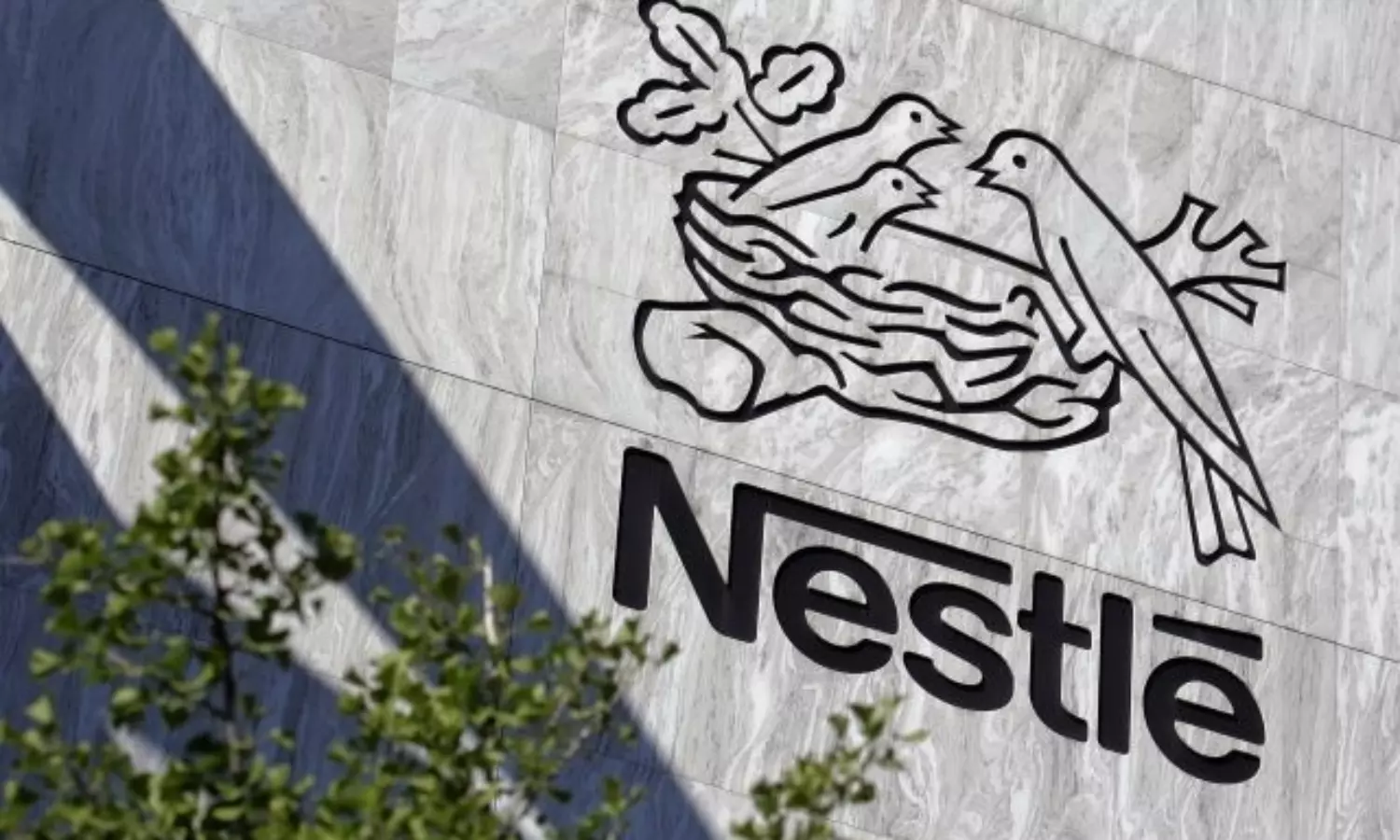 Nestle unlawfully bottled spring water for over 100 years: US