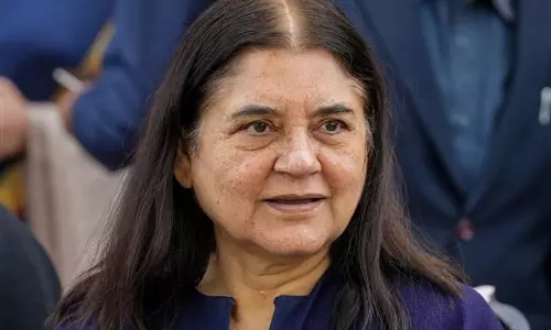ISKCON biggest cheat; sells cows to butchers: Maneka Gandhi