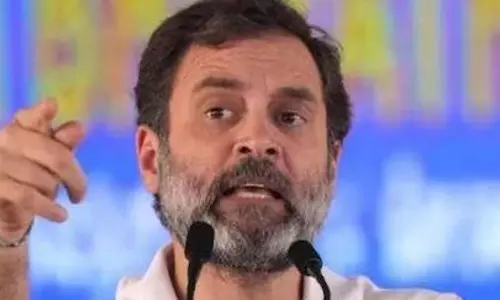 Rahul Gandhi states representation low for 88% of population in key segments