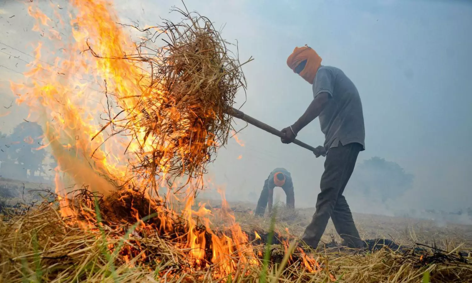 stubble burning