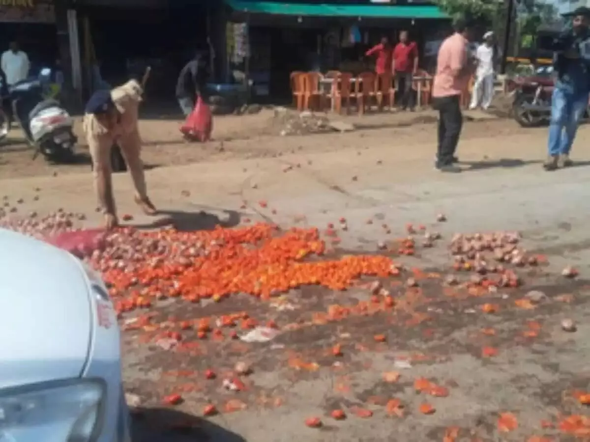 Angry farmers pelt onions, tomatoes at Ajit Pawars convoy in Maha