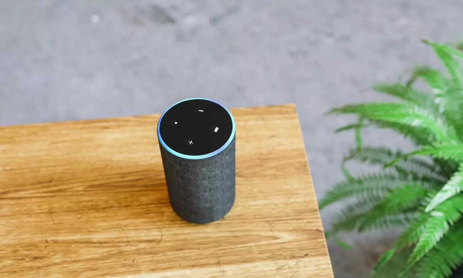 Amazon’s Alexa tells users 2020 US Prez election was ‘stolen’