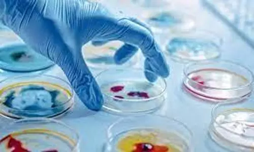 microbiology