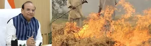 Burning crop residue: L-G writes to CMs in Punjab, Haryana expressing worry over air pollution