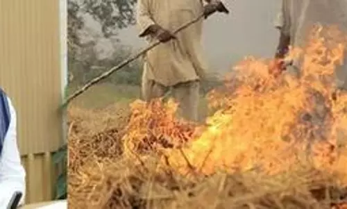 Burning crop residue: L-G writes to CMs in Punjab, Haryana expressing worry over air pollution