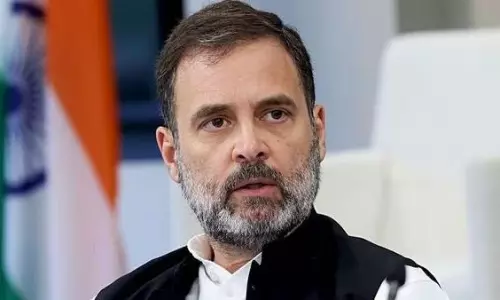 Wayanad elephant issue: Rahul leaves UP Bharat Jodo for Kerala