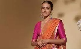 Nalli Silks Nalli Silks