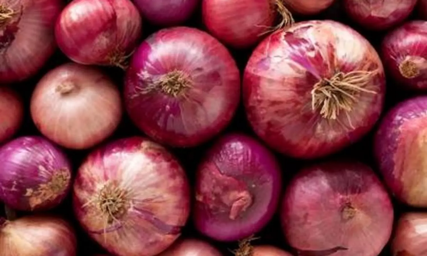 Centre imposes minimum export price of $800 per metric tonne on onion