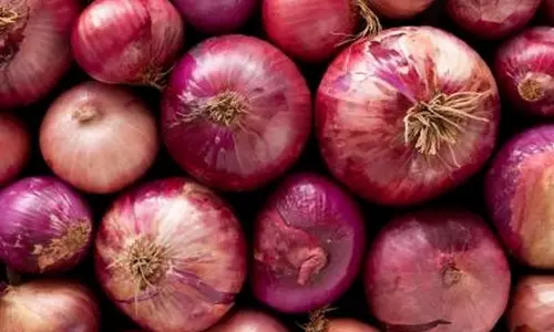 Centre imposes minimum export price of $800 per metric tonne on onion