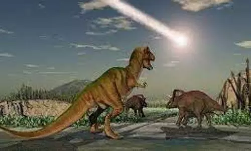 dinosaur