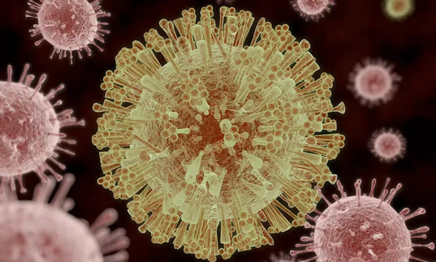 Zika virus: K’taka govt on high alert mode