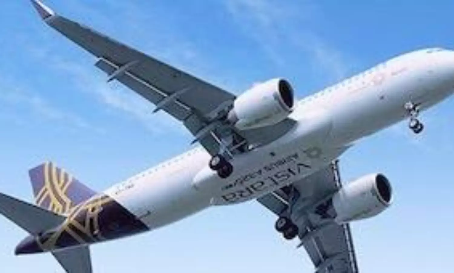 Vistara flight forced to return to Bengaluru as dog enters Goa airport runway