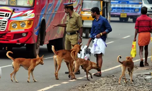 Five-year-old mauled to death by stray dogs in UP