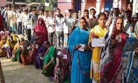 MP election MP election