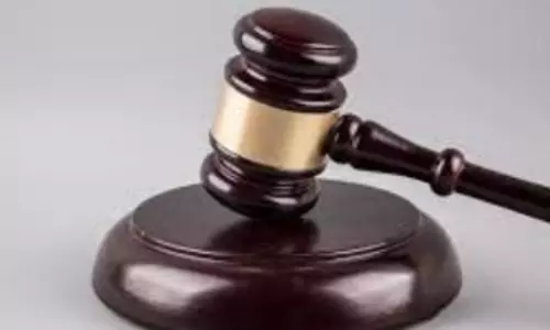 HR head of NewsClick in bail plea states no role in journalism, management; 0.09% share