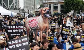 dog meat dog meat