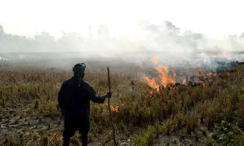 UP farmer dies of suffocation while burning stubble: report