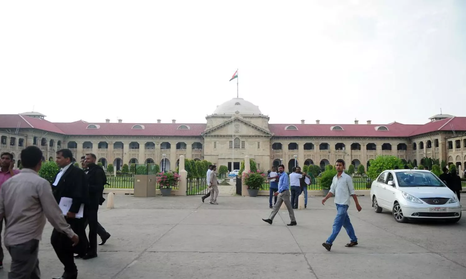 UP anti-cow slaughter law doesn’t ban transportation of beef: Allahabad HC