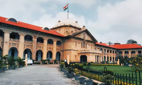 Marital rape not an ‘offence if wife is 18 or above: Allahabad HC