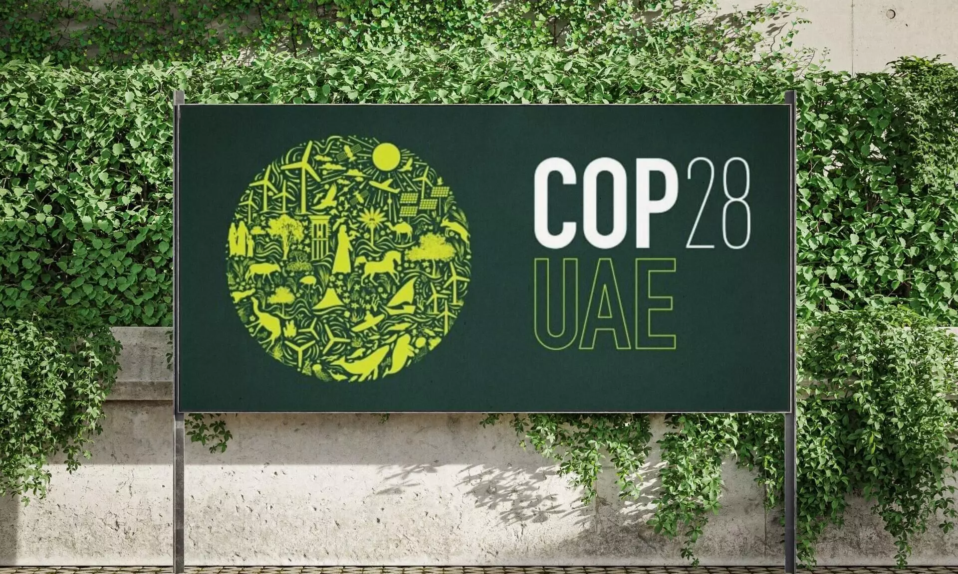 COP28  gives passive eye on phasing out fossil fuels?