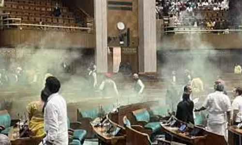 She’s highly qualified, but jobless: claims LS breach accused’s family