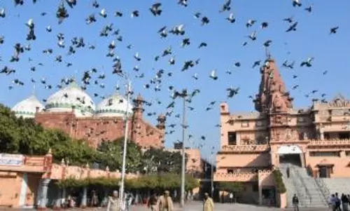 Shahi Idgah committee to file plea in SC to overturn HC ruling for mosque complex survey