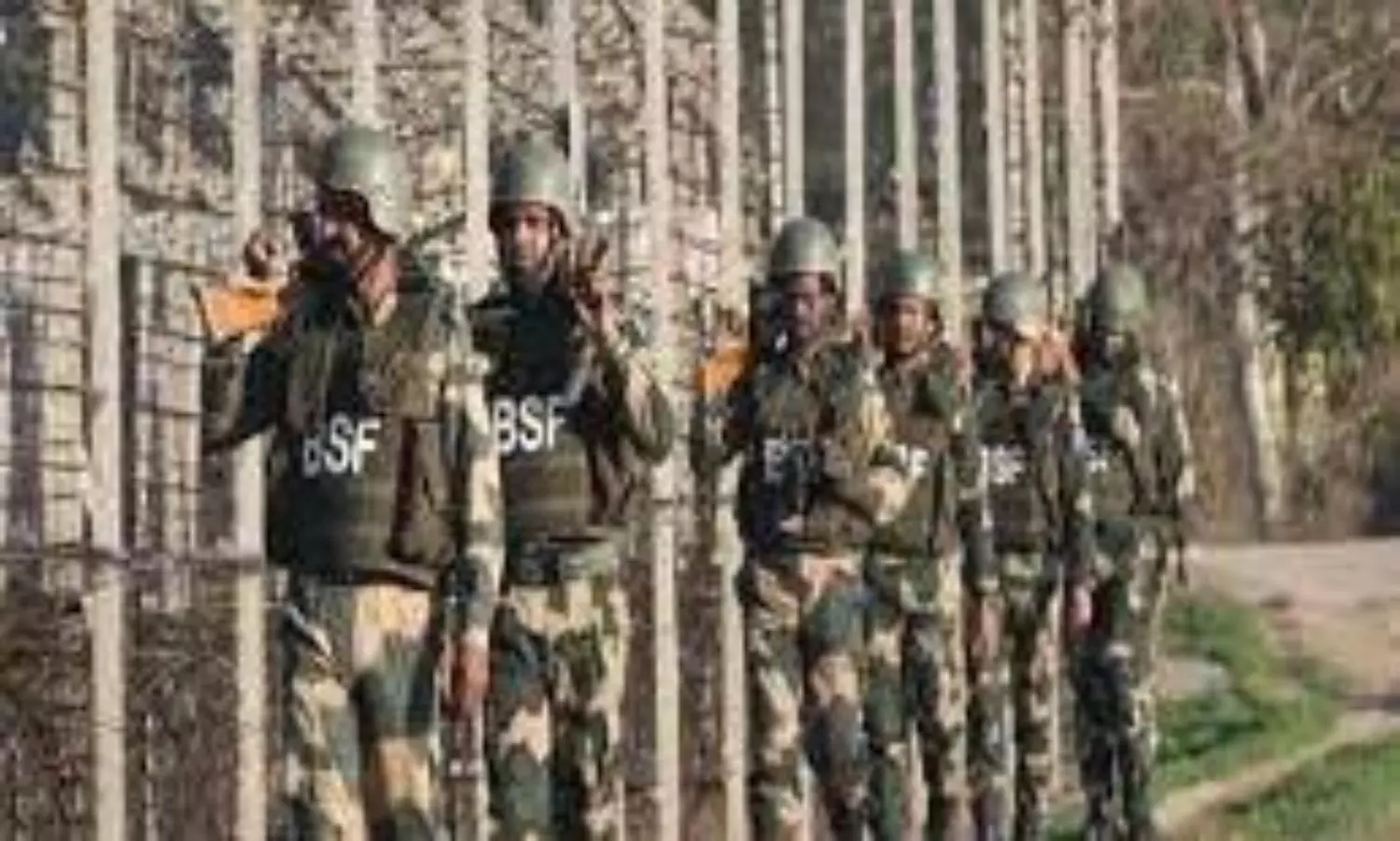 bsf
