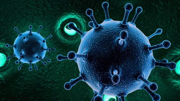 New Covid sub-variant JN.1 detected in Kerala raises concerns