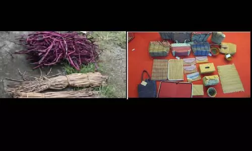 Kerala women turn environmentally destructive plants to daily use wares