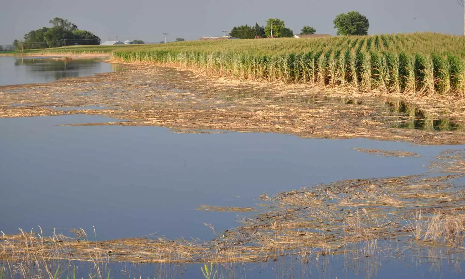 Indias agriculture hit by climate change; growth rate hits too low