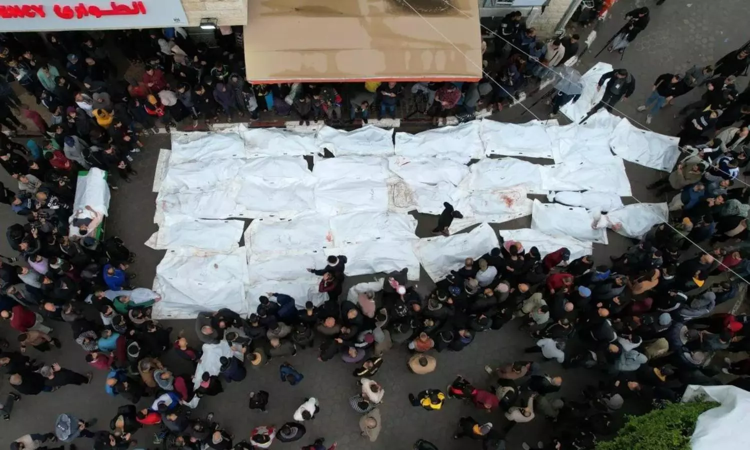 250 Palestinians killed in 24 hrs as Israel continues Gaza strikes