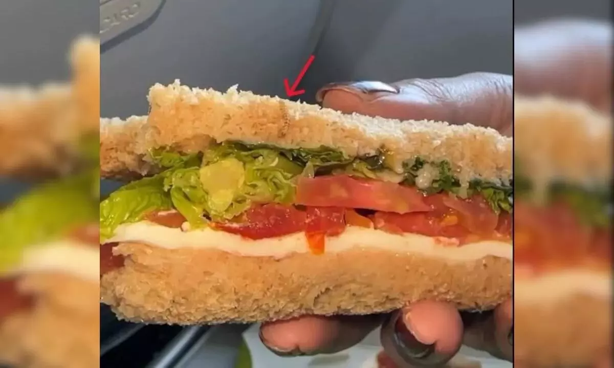 Indigo passenger finds live worm in sandwich served on flight
