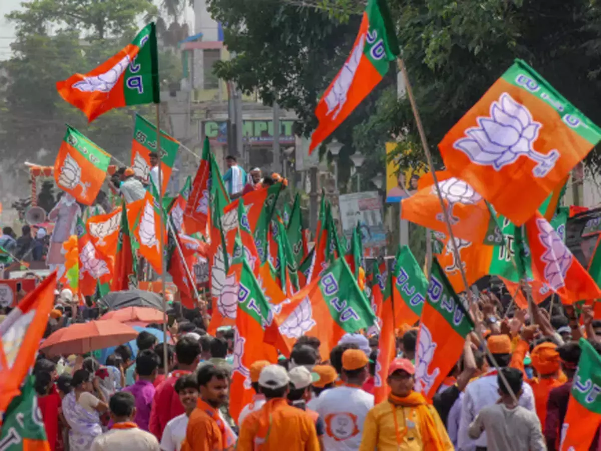 Karnataka BJP protests across state against arrest of Kar Sevaka