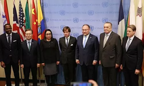 As elected members of UNSC, five countries assume responsibilities
