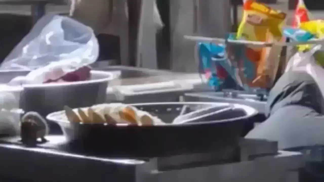 Viral video shows rats feasting on food at IRCTC stall in MP