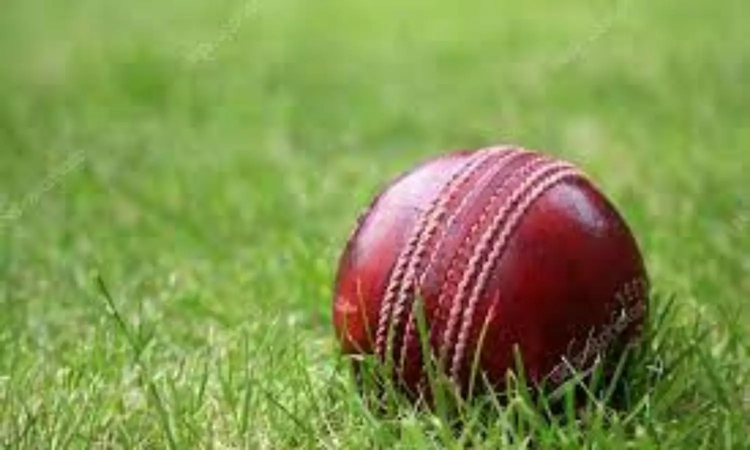 Cricketer in Mumbai dies after ball from another match hits on the head