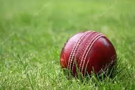 Cricketer in Mumbai dies after ball from another match hits on the head