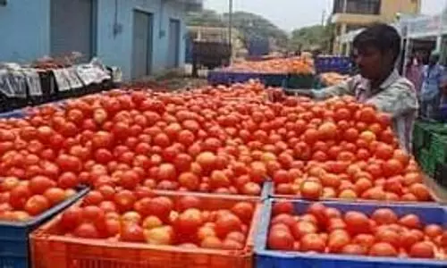 Nepal ready to export tomatoes amid Indias crisis; seeks easier marker access