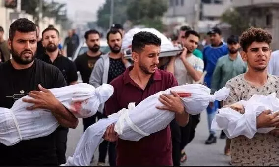 Daily deaths in Gaza massively higher than any 21st century conflicts