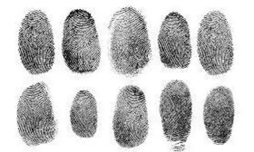 fingerprints