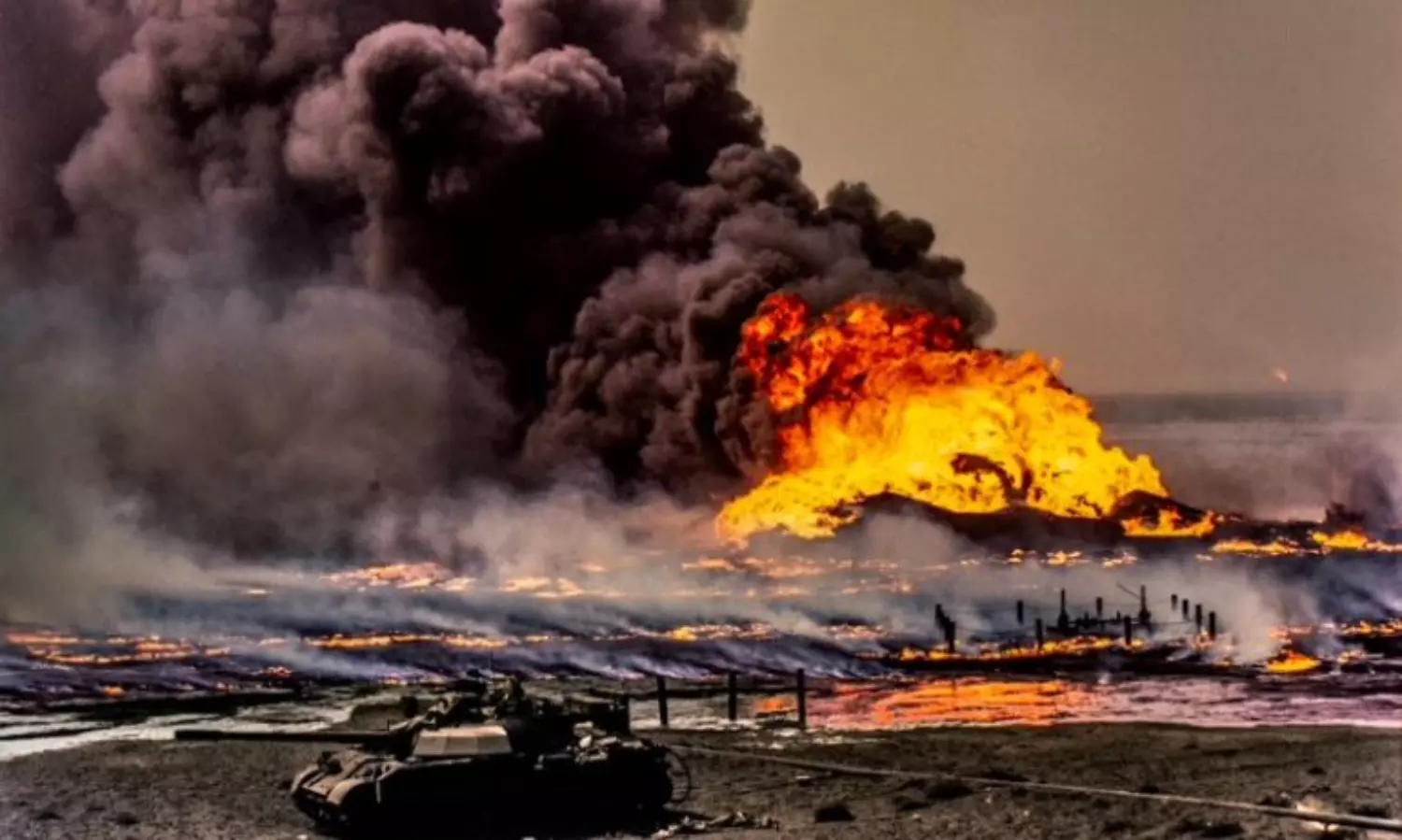War, an ecocide