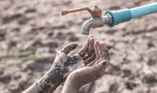 Climate change will cause millions of deaths by 2050: WEF